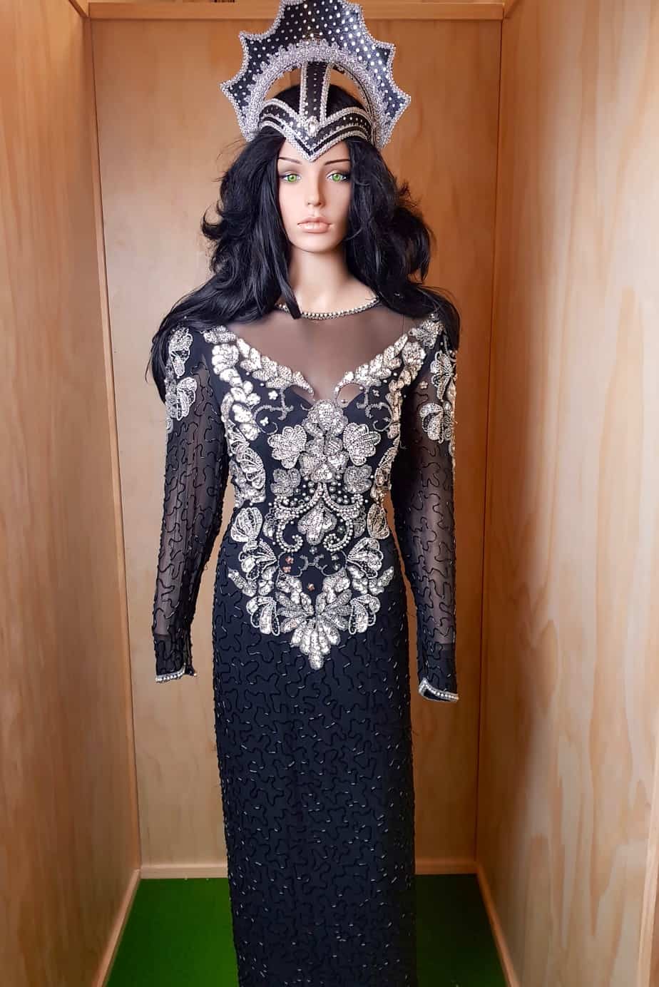 cher adult costume #3 - Snog The Frog