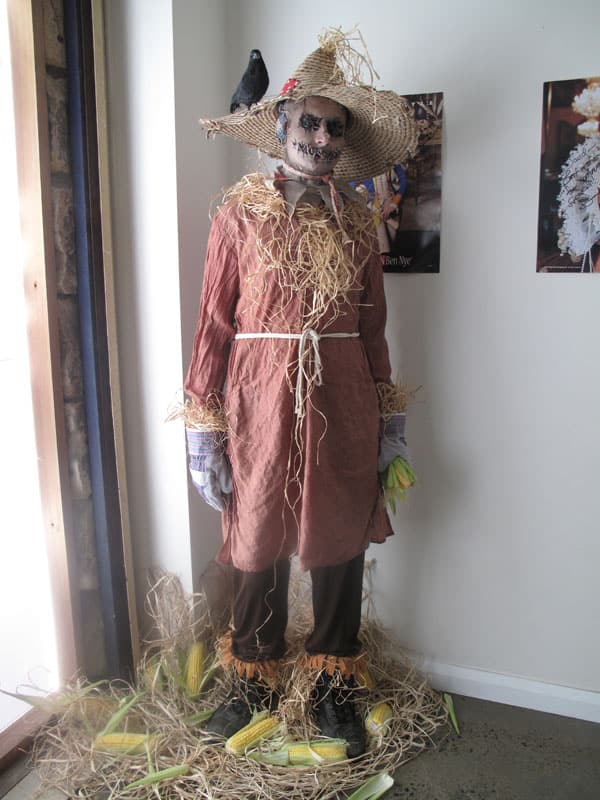 Wizard of Oz - Scarecrow Adult Costume - Snog The Frog